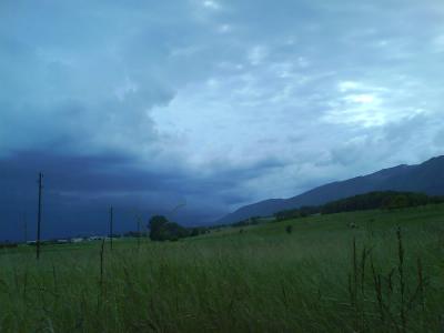 Bild
