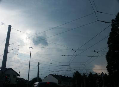Bild