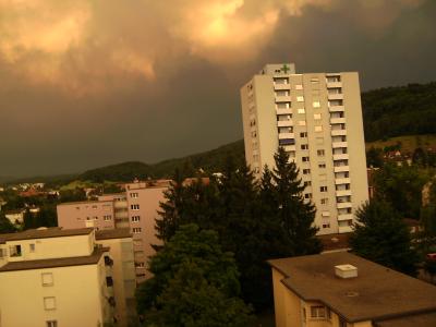 Bild