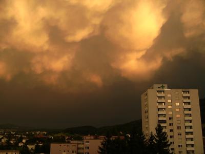 Bild