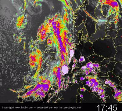 Bild