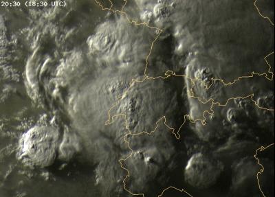 Bild