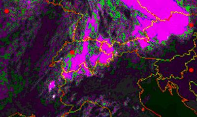 Bild