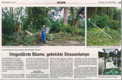 Bild
