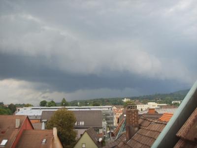 Bild