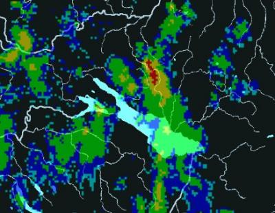 Bild