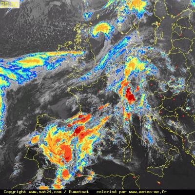 Bild