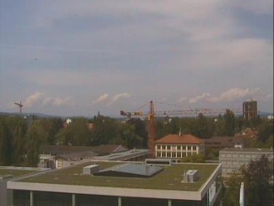 Bild