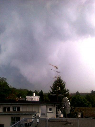 Bild