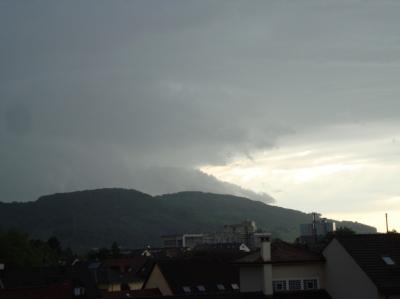 Bild