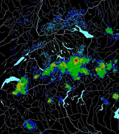 Bild