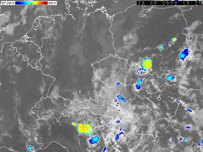 Bild