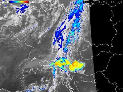 Bild