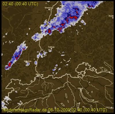 Bild