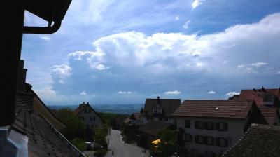 Bild