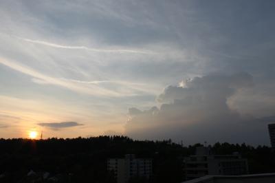 Bild