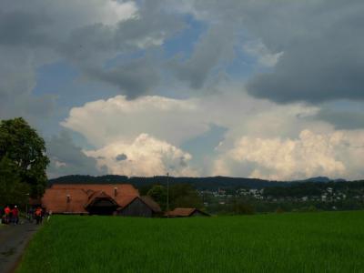 Bild