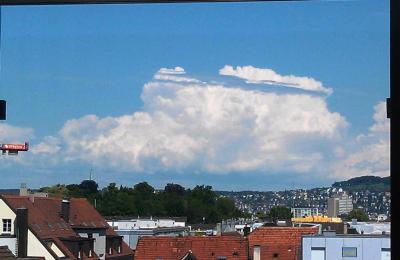Bild