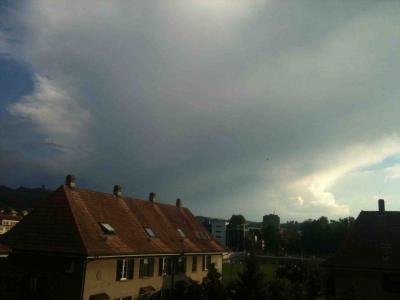 Bild