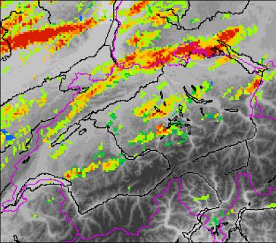 Bild