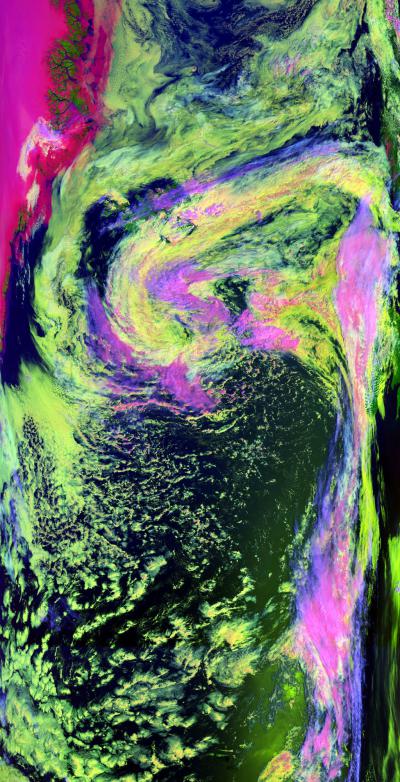Bild