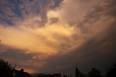 Bild