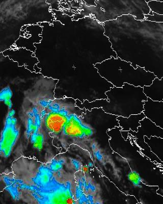 Bild