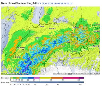 Bild