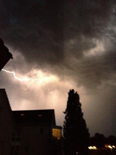 Bild