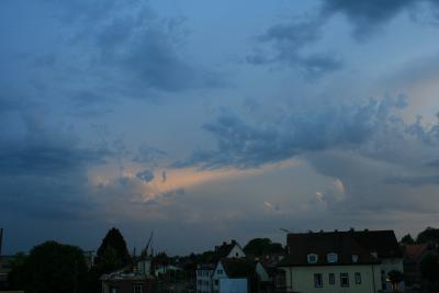 Bild