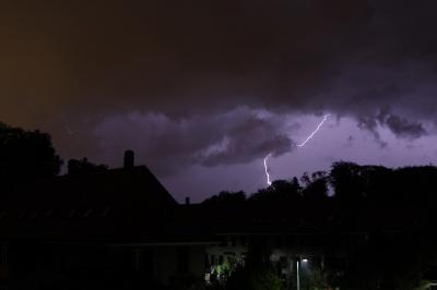 Bild