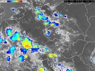 Bild