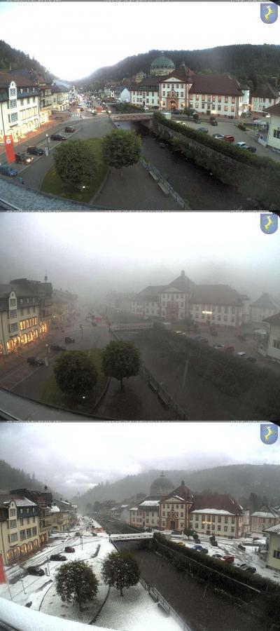 Bild