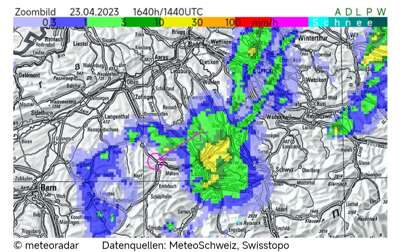 Bild