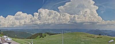 Bild