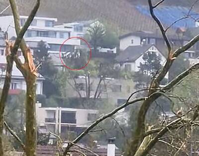 Bild