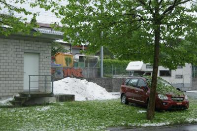 Bild