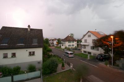 Bild