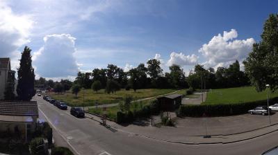 Bild