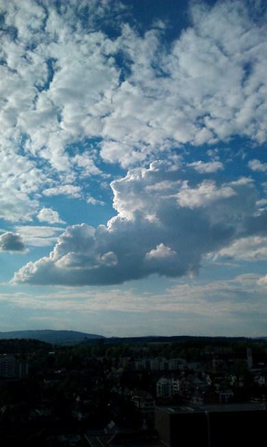 Bild