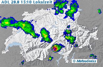 Bild