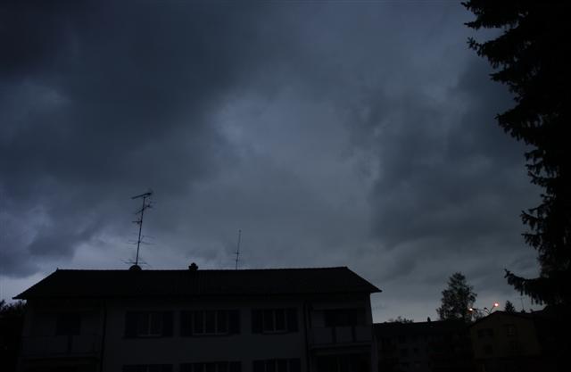 Bild