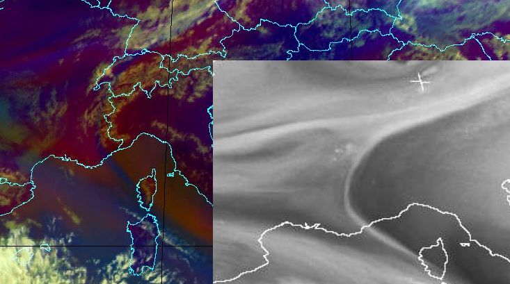 Bild