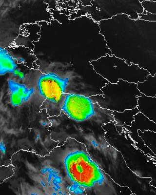 Bild