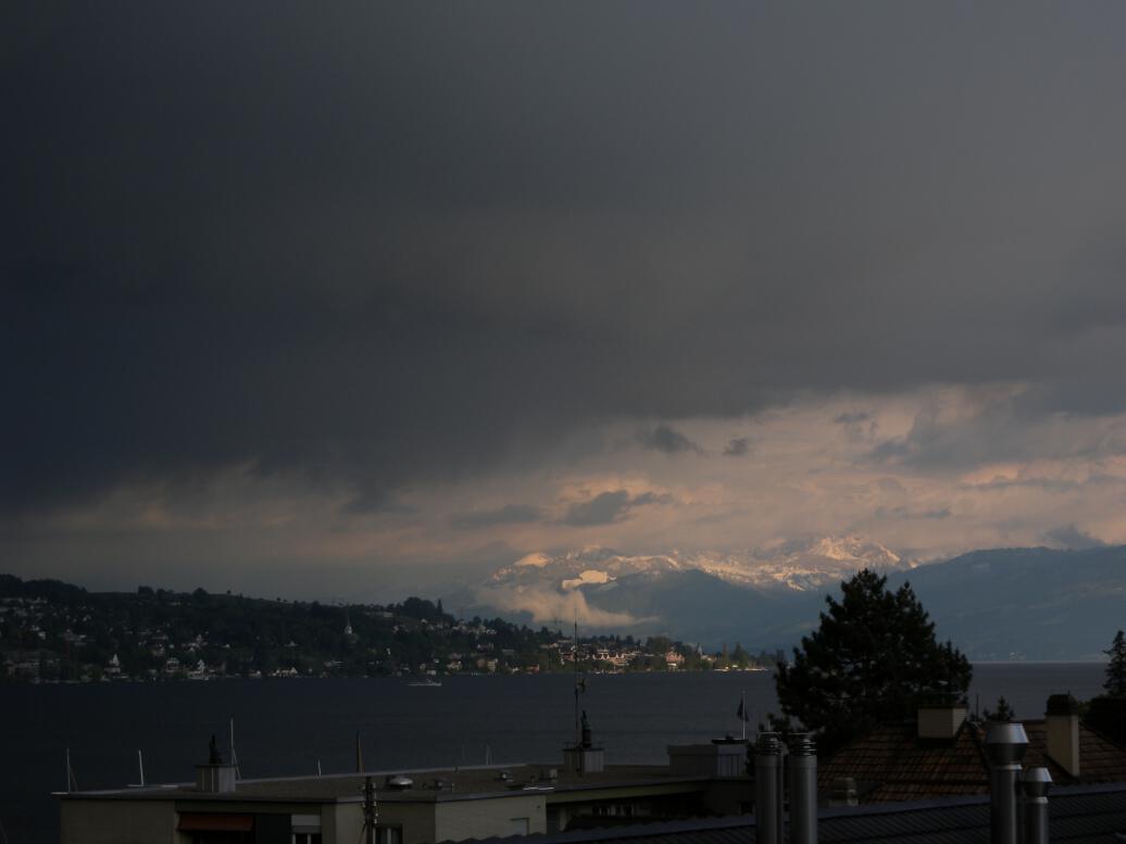 Bild