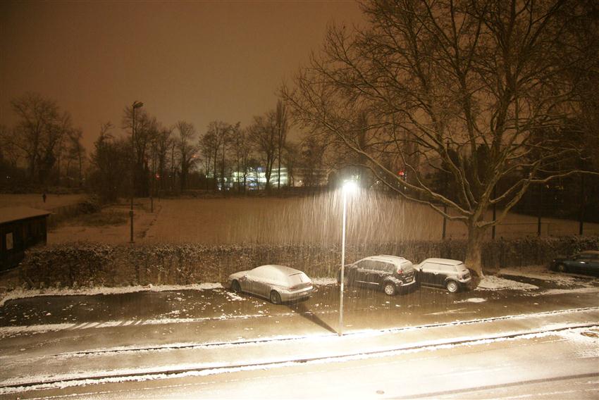 Bild