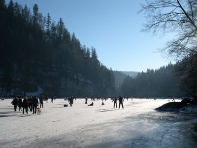 20060116_105829.jpg
