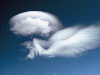 Siegerbild Oktober 2006
Aufgenommen am 2.10.2006 am Pico del Teide (Teneriffa)
Photograph: Peter Brugger

Herzliche Gratulation!
