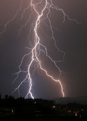 Siegerbild Juli 2006
Aufgenommen am 12.7.2006 in Schliern bei Köniz
Photograph: David Burkhard

Herzliche Gratulation!
