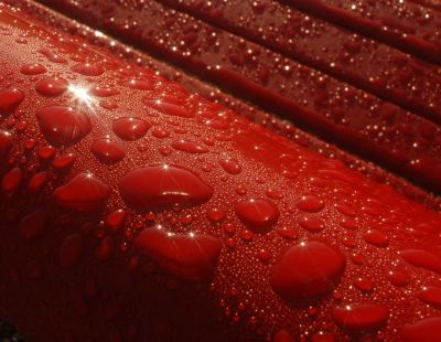 Morgentau auf Parkbank
